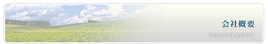 会社概要